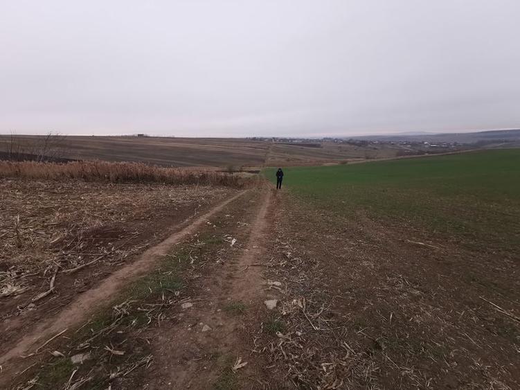 Teren agricol intravilan în Periferie