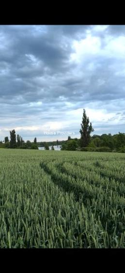 Teren intravilan în Corbeanca