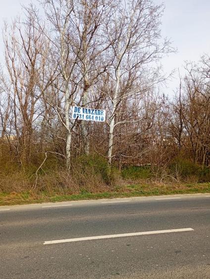 Teren Construcții intravilan de 5000 mp, în Pieții