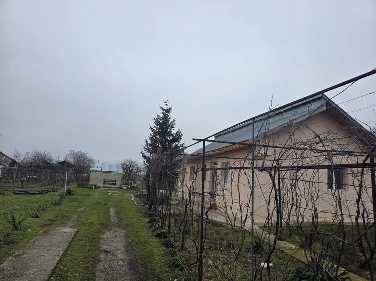 Casa de vanzare in Videle-Tamasesti - 2