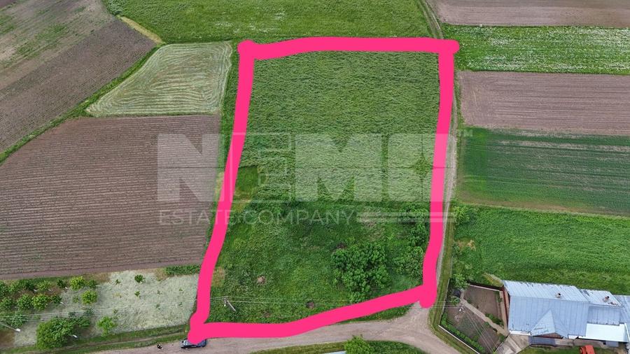 Teren Construcții intravilan de 4000 mp, în Burla