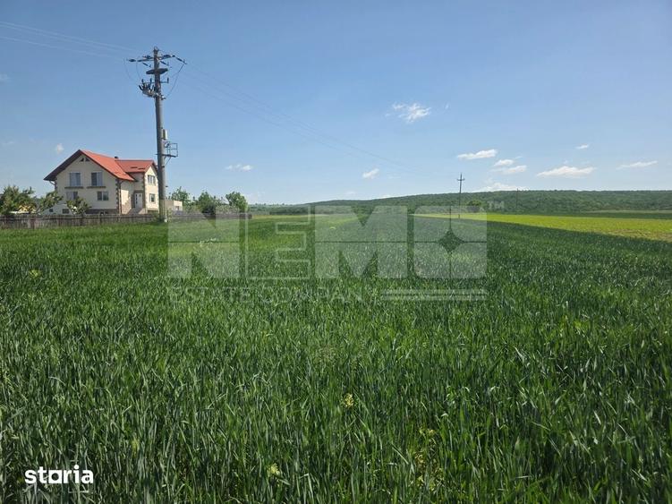 Teren de 2600 mp, în Mitocu Dragomirnei