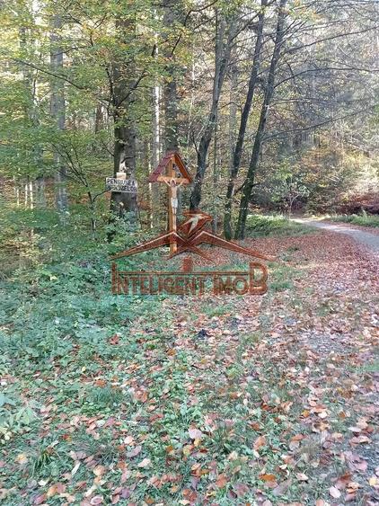 Teren de 2878 mp, în Sâmbăta de Sus