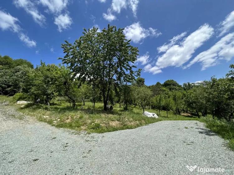 Teren de 886 mp, în Valea Roșie
