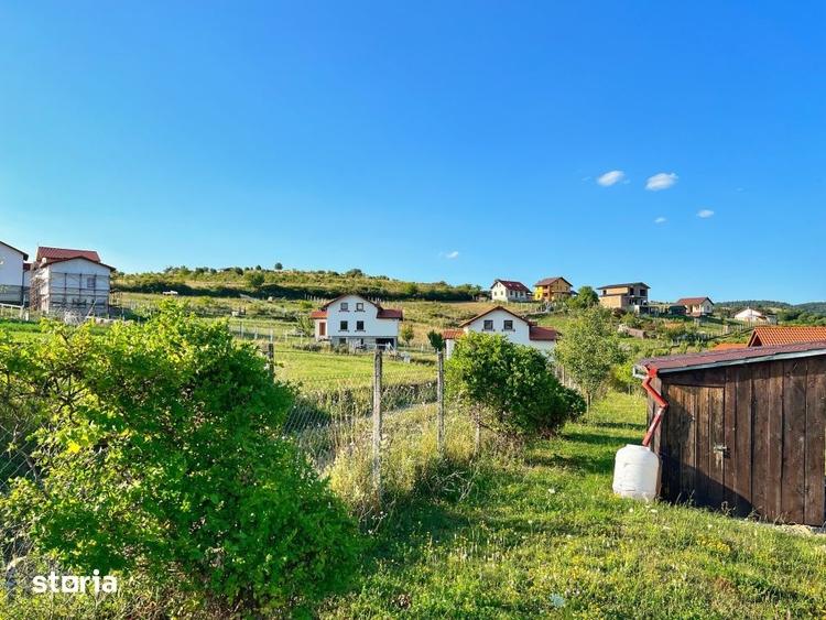Teren Intravilan 1000 Mp-Utilitati-Sura Mare - 1