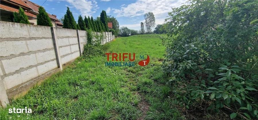 Spațiu comercial, în Ighiu