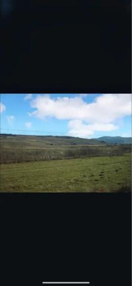 Teren de 28000 mp, în Șoarș