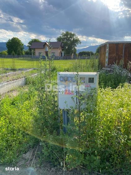 Teren de 735 mp, în Alexandru cel Bun