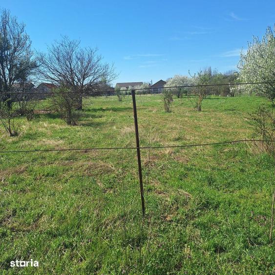 Teren de 2262 mp, în Dragomirești-Vale