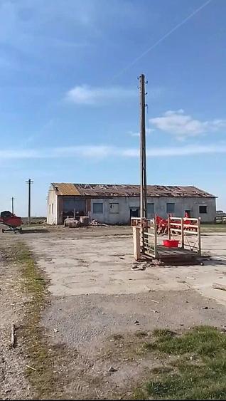 Teren de 16575 mp, în Sintea Mare