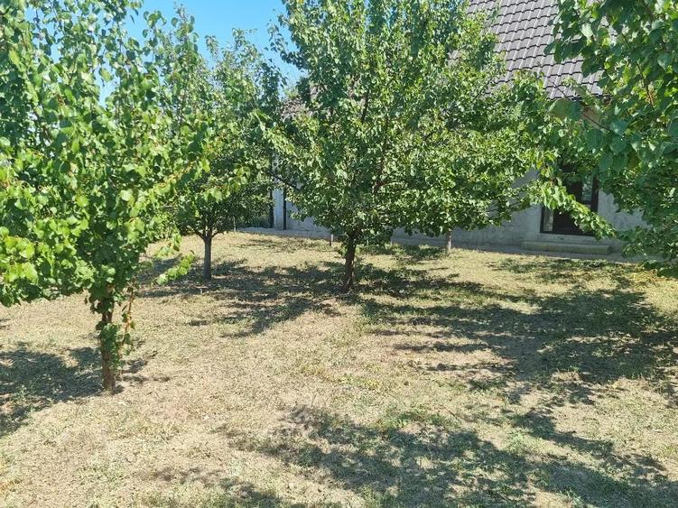 Vand Casa in Odaia Manolache Galati sau schimb cu apartament - 5