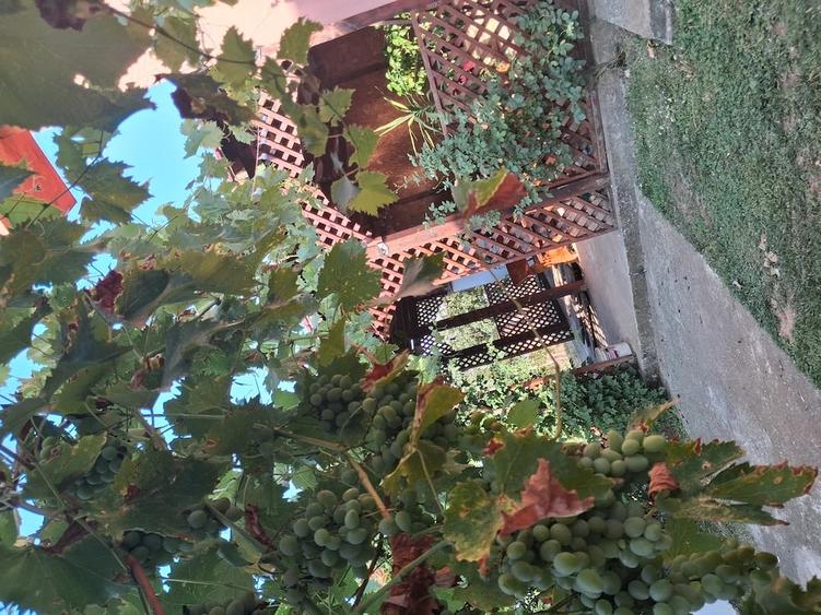 Casă cu 4 camere cu Teren 1000 Mp în Central