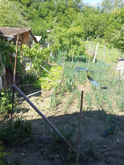 Casă cu 3 camere cu Teren 15 Mp în Viișoara