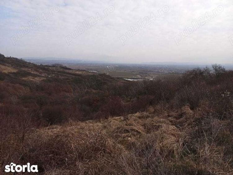 Teren de 9500 mp, în Podgoria