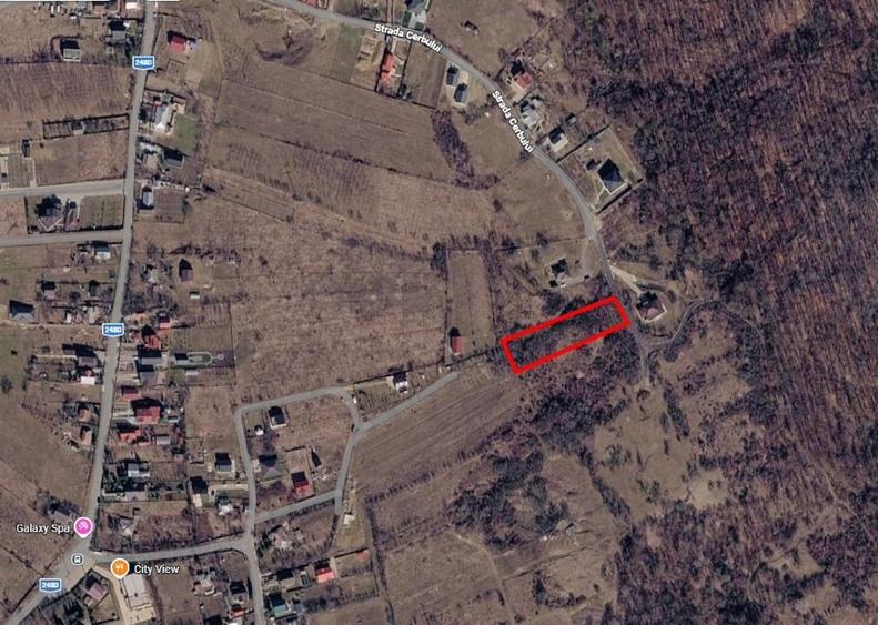 Teren Construcții intravilan de 3000 mp, în Păun