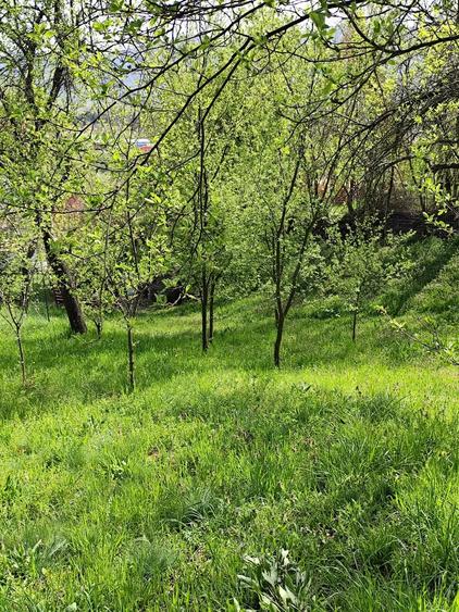 Teren de 1000 mp, în Jiblea Veche
