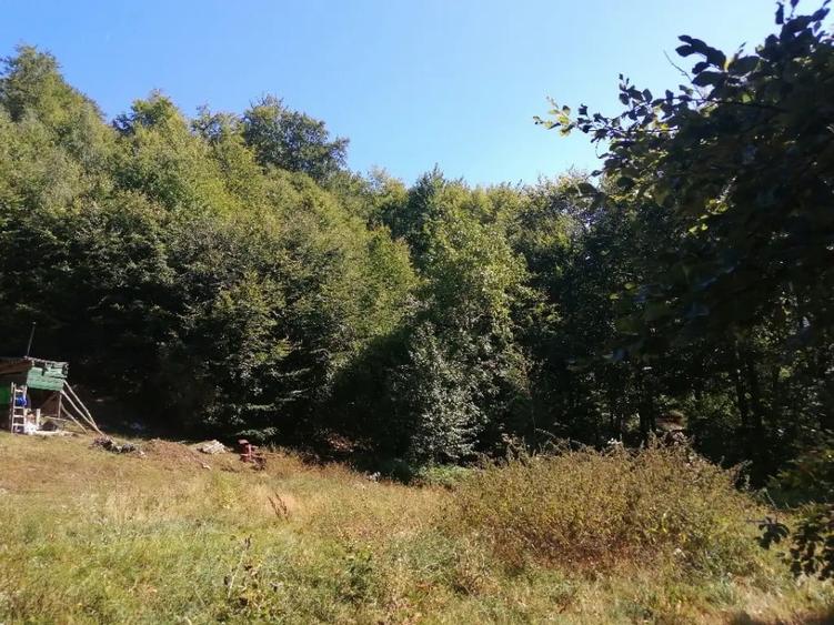 Teren de 4100 mp, în Central