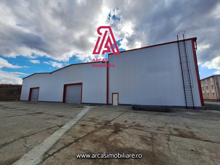 Spațiu industrial, de 6,857 mp, în Mârșa