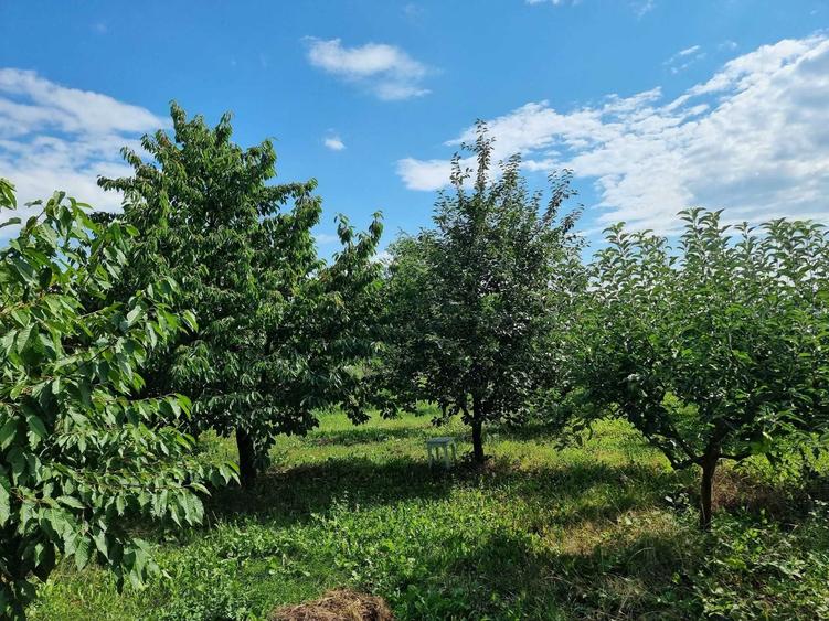 Casă cu 2 camere în Miron Costin