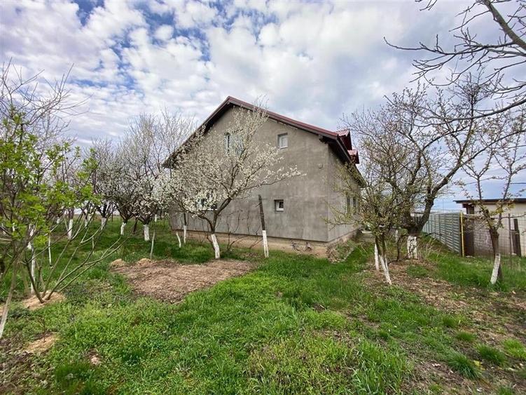 Casă individuală cu 4 camere cu Teren 5276 Mp în Alparea