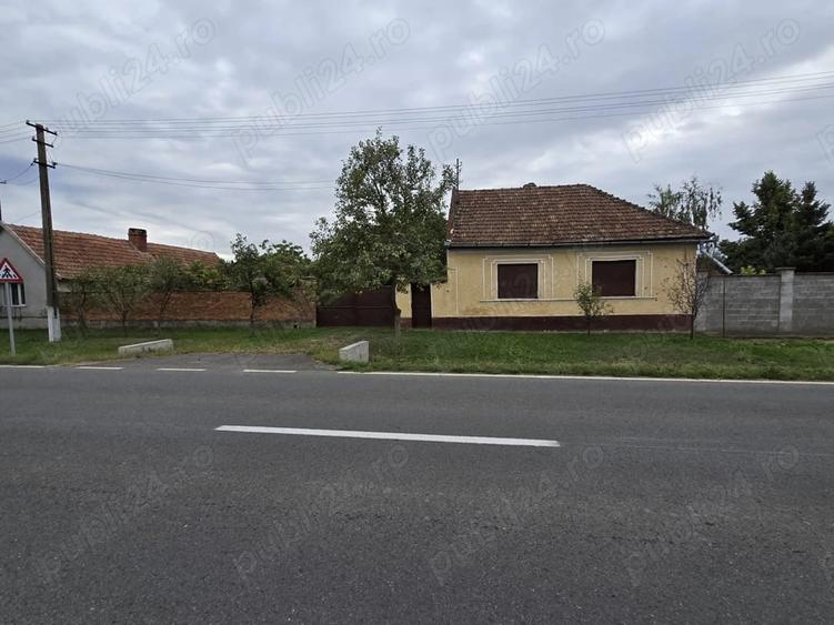 Casă cu Teren 2500 Mp în Turnu