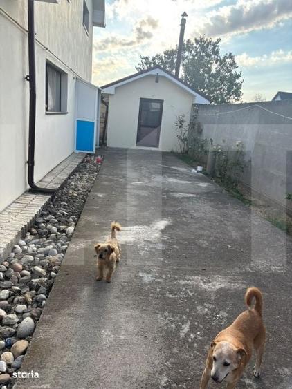 Casă cu 4 camere în Buicești