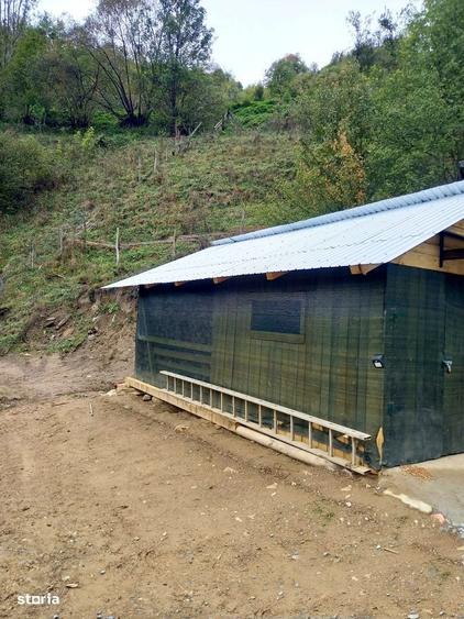 Casă cu 2 camere cu Teren 1707 Mp în Bistra