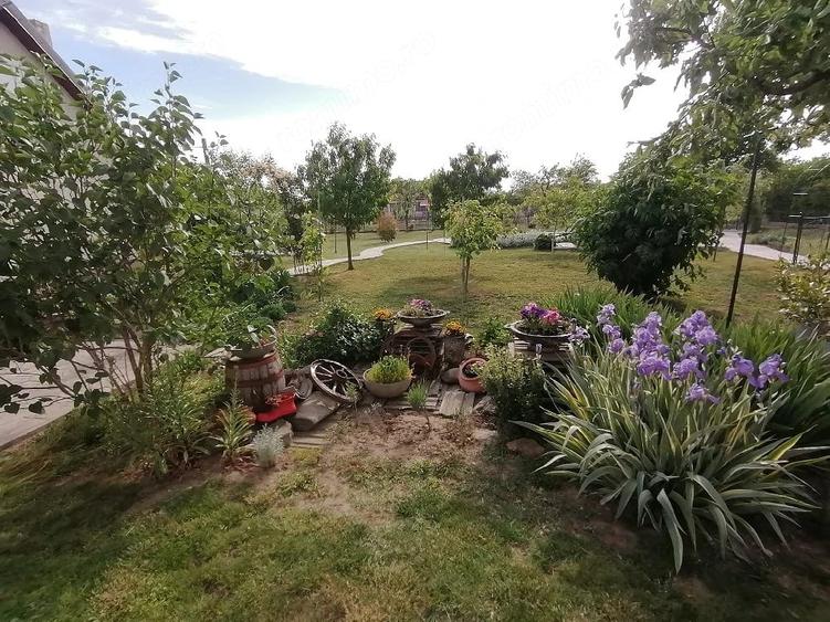 Casă cu Teren 1457 Mp în Rudna