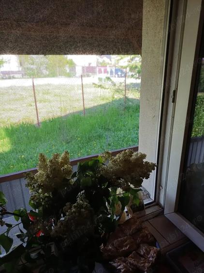 Casă cu 5 camere cu Teren 526 Mp în Cornetu