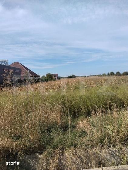 Teren de 5400 mp, în Ulmi