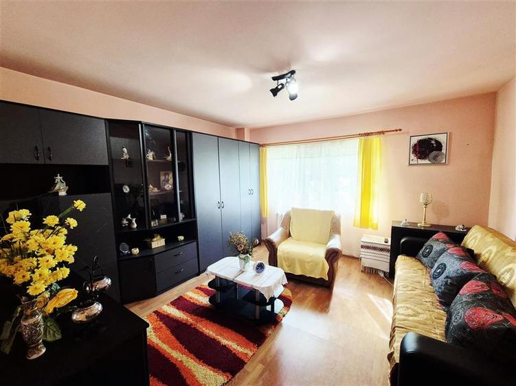 Garsonieră decomandată în Frumoasa