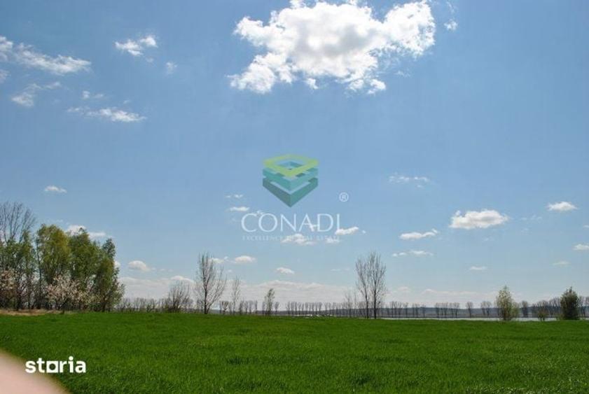 Teren de 2270000 mp, în Ciocănești