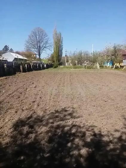 Teren de 700 mp, în Băcălești