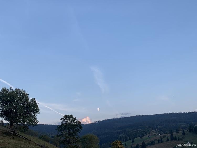 Teren de 7837 mp, în Dorna-Arini