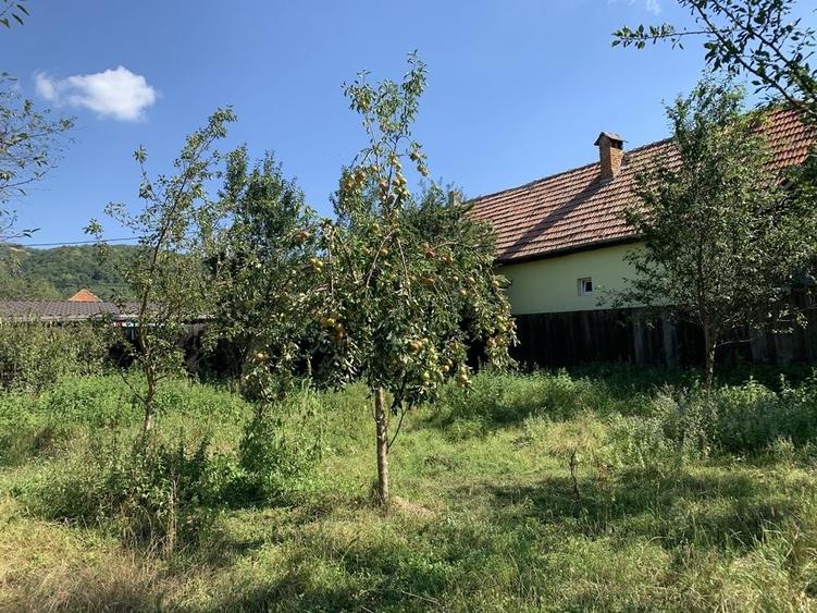 Teren de 1700 mp, în Lăzărești