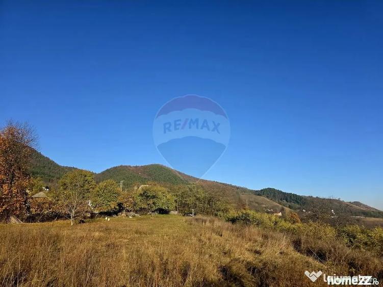 Teren 6,874mp Alexandru cel Bun / Strada plopusor - 10