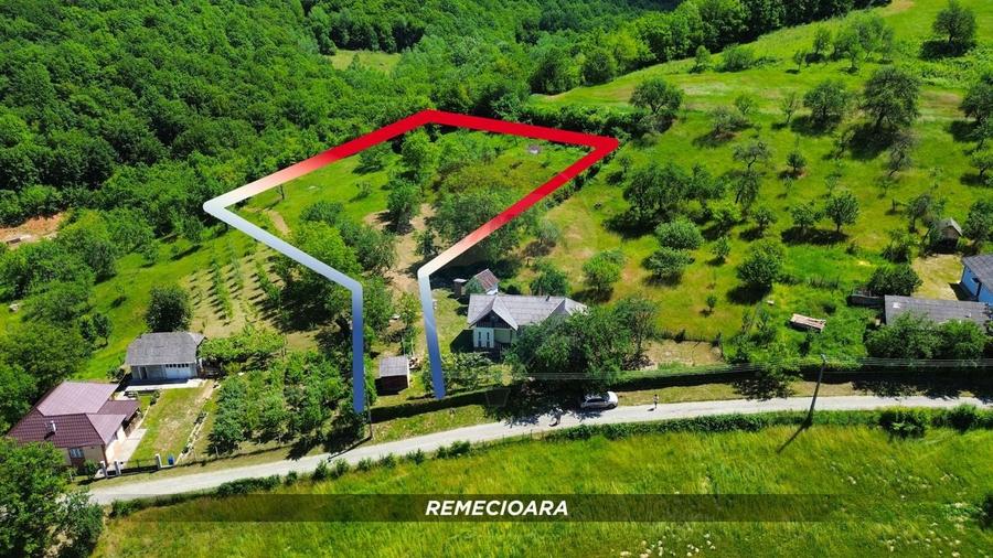 Teren Construcții intravilan de 3206 mp, în Remecioara