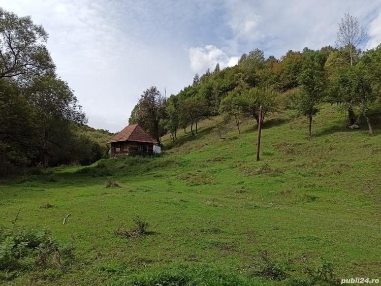 Teren de 3000 mp, în Ponor