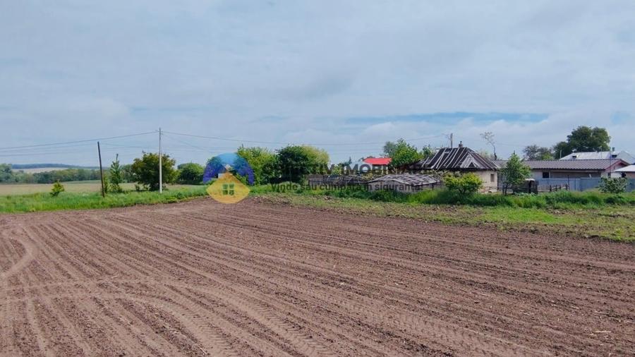 Teren intravilan de 12300 mp, în Cârligi
