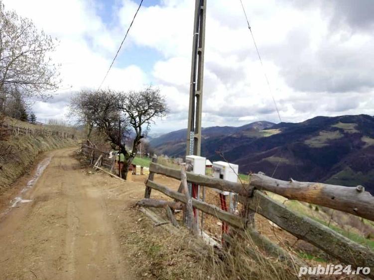 Teren de 5619 mp, în Măguri