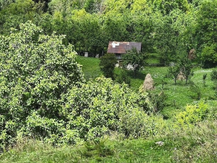 Teren de 5257 mp, în Secăria