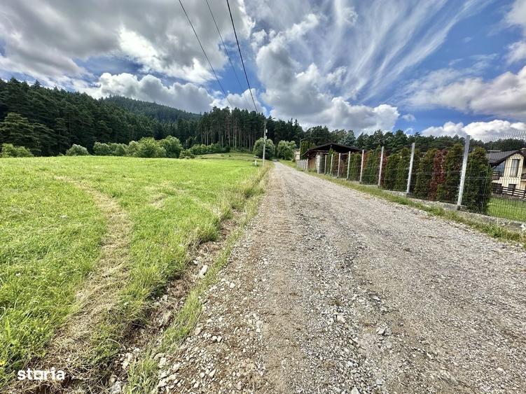 Teren intravilan de vanzare Sacele, Str. Highisului 3.600 mp - 6
