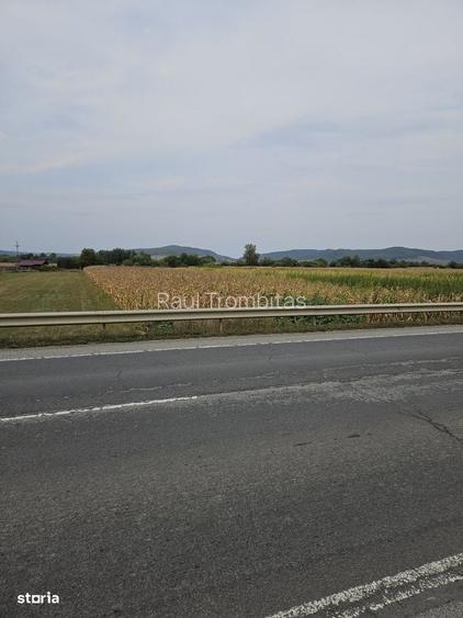 Teren intravilan 2.900 mp la DN17, Uriu front 18,5 m, toate utilit