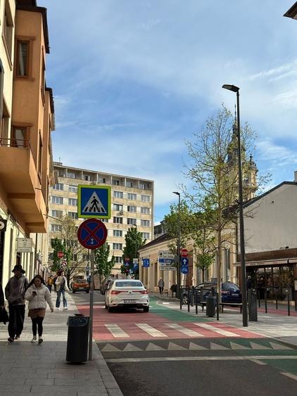 Apartament decomandat în Dosu Bricii