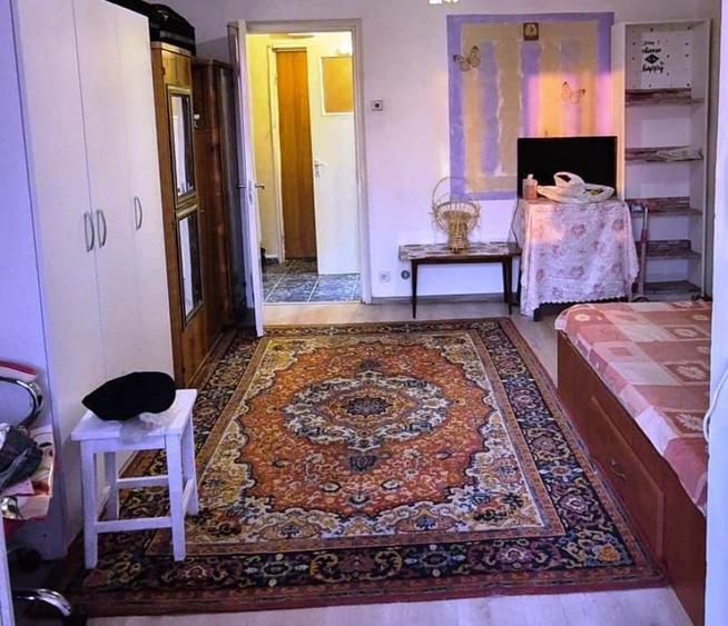Garsonieră în Costin Georgian