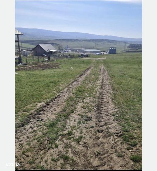 Teren de 1100 mp, în Ciurea