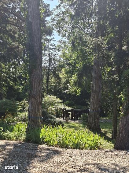 Casa cu Pini. Un refugiu in culoarea naturii. - 8