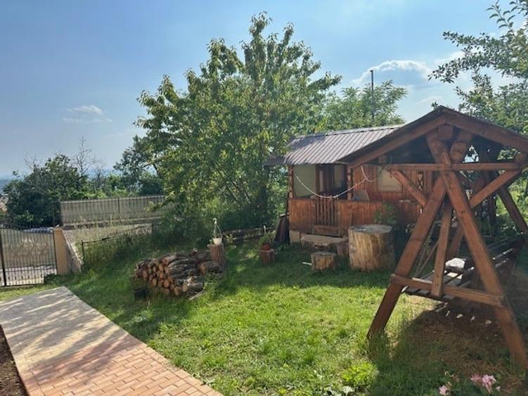 Casă individuală cu 6 camere cu Teren 4500 Mp în Podgoria