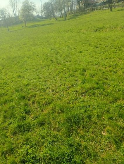 Teren Construcții intravilan de 1000 mp, în Meteș