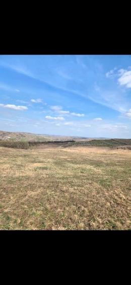 Teren agricol extravilan de 11500 mp, în Pata